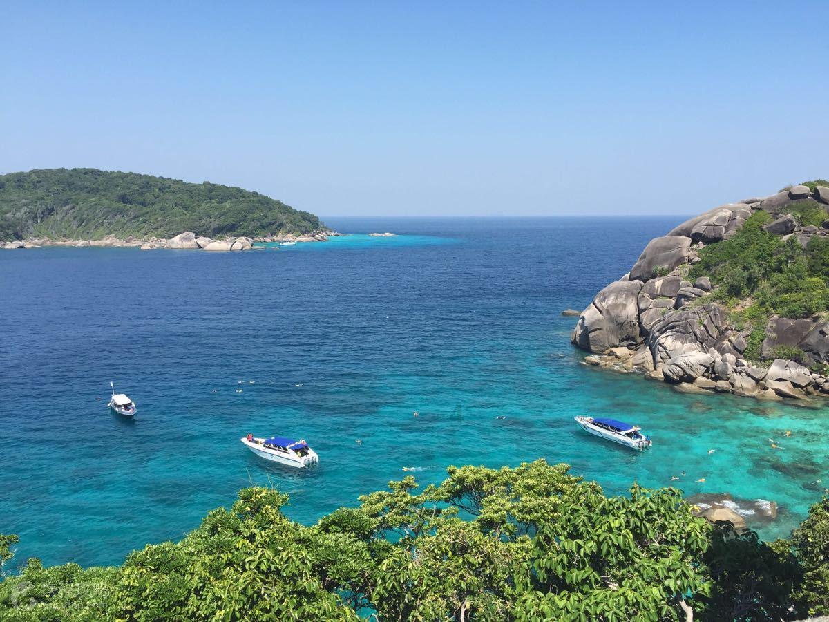 复杂、多发、巨大脑动脉瘤患者的新选择——泰安市立医院神经外科血流导向密网支架治疗